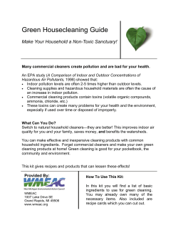 green cleaning guide