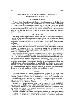 Organization and Movements of Coveys of a Gambel Quail Population