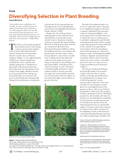Diversifying Selection in Plant Breeding