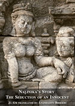 Nalinikas story - Ancient Buddhist Texts