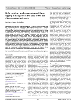Deforestation, land conversion and illegal logging in