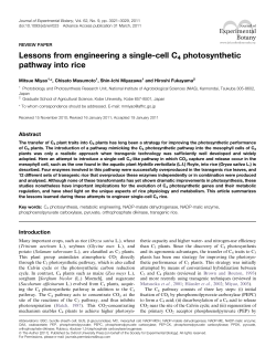Lessons from engineering a single-cell C4 photosynthetic pathway