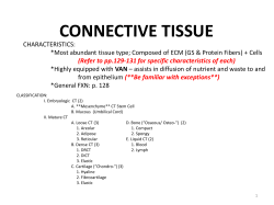 connective tissue - HCC Learning Web