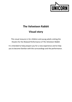 The Velveteen Rabbit Visual story