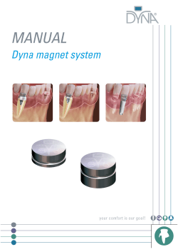 Dyna Magnet Manual