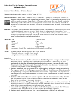 Adhesion Lab - UF Chemistry Club