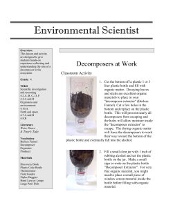 The Elementary Template