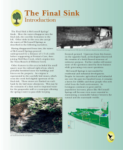 Final Sink - McConnell Springs