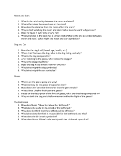 symbolism analysis questions