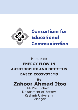 Consortium for Educational Communication