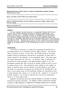 Multiacetylated forms of H4 are found in a putative transcriptionally