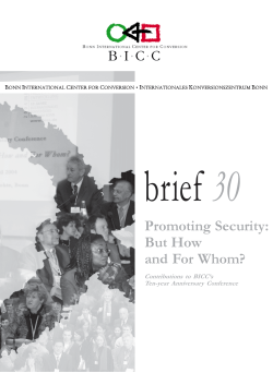 Promoting Security: But How and For Whom?