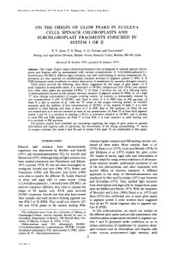 on the origin of glow peaks in euglena cells, spinach chloroplasts