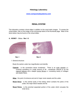 Histology Laboratory www.compumedsystems.com RENAL SYSTEM