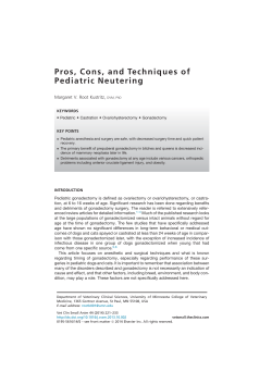 Pros, Cons, and Techniques of Pediatric Neutering