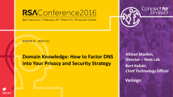 Domain Knowledge: How to Factor DNS into