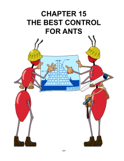 chapter 15 the best control for ants