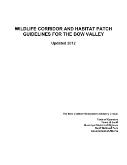 Prepared for: - Biosphere Institute of the Bow Valley