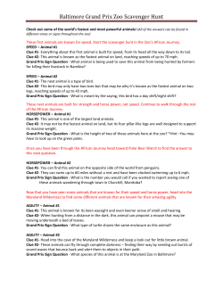 Baltimore Grand Prix Zoo Scavenger Hunt