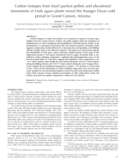 Carbon isotopes from fossil packrat pellets and elevational