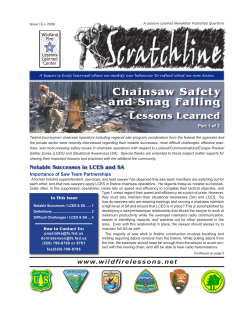 Chainsaw Safety and Snag Falling - Wildland Fire Lessons Learned