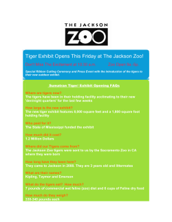 Tiger Exhibit Opens This Friday at The Jackson Zoo!