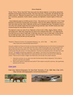 Live cam - Palos District 118