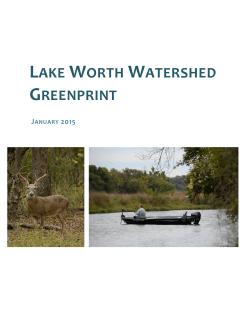 the lake worth greenprint