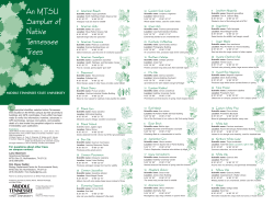 MTSU Sample of Native Tennessee Trees and Campus Map