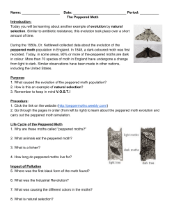 The Peppered Moth Int