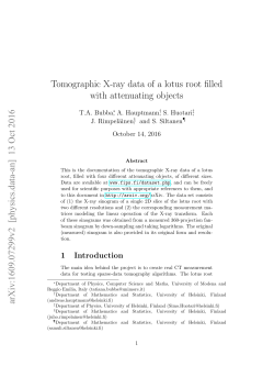 Tomographic X-ray data of a lotus root filled with