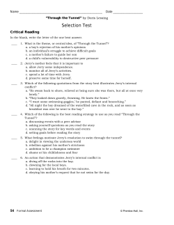 Formal Assessment: Unit 3: Through the Tunnel