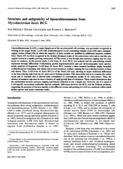 Structure and antigenicity of lipoarabinomannan from
