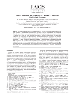 Design, Synthesis, and Properties of 2`,4`-BNANC