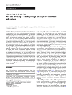 Kiss and break up—a safe passage to anaphase in mitosis