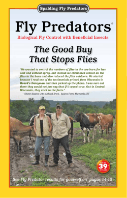 Guide to Fly Control For Dairy