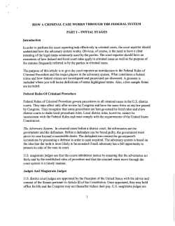 HOW A CRIMINAL CASE WORKS THROUGH THE FEDERAL