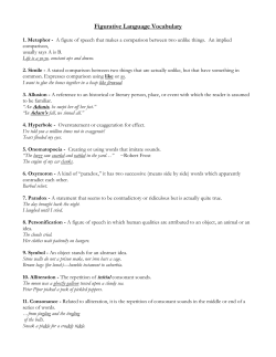 Figurative Language Vocabulary