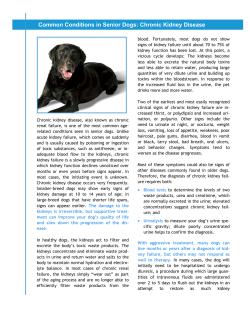 Canine Kidney Disease - Greenwood Lake Animal Hospital