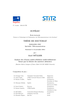 Ph.D. Thesis Axel M&uuml;ller