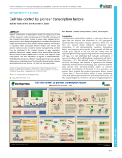 Cell fate control by pioneer transcription factors - Development