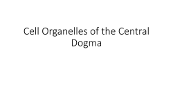 Cell Organelles of the Central Dogma