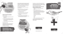 Common fish diseases