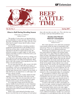 Beef Cattle Time Vol. 25, No. 2