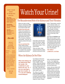 Kidney Filtration