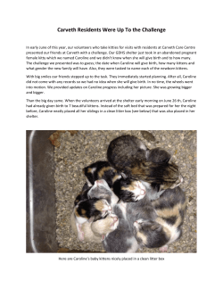 Carveth Residents Were Up To the Challenge