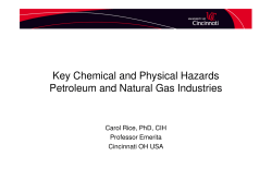Key Chemical and Physical Hazards Petroleum and Natural Gas