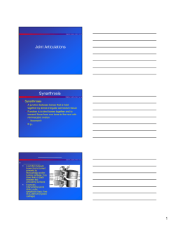 Joint Articulations Synarthrosis