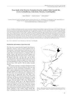 Trace fossils of the Moravice Formation from the southern N&iacute;zk&yacute;