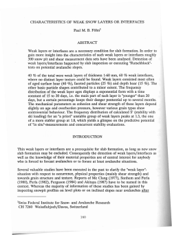 CHARACfERISTICS OF WEAK SNOW LAYERS OR